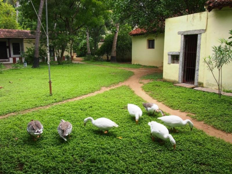 Indeco Hotels Swamimalai Кумбаконам Экстерьер фото